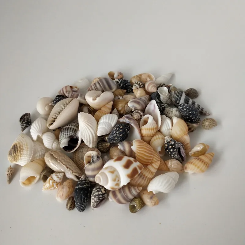 HappyKiss 1 Množstvo Zmiešané mušľami Shell Plavidlá Akvárium Námorných Dekor Ozdoby prírodné mini conch stredozemného
